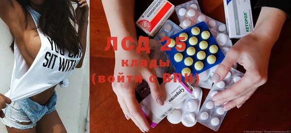 бошки Пересвет